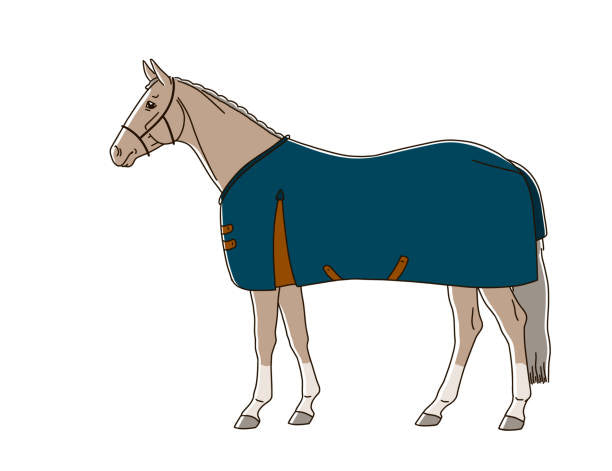 STANDARD OR COMBO NECK TURNOUT RUG WASH AND REPROOF