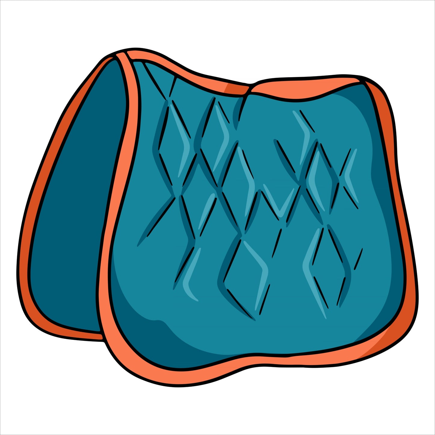 SADDLE CLOTH WASH